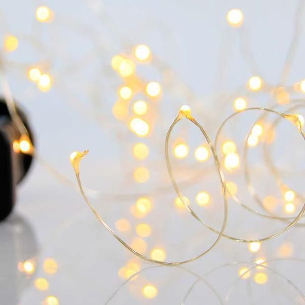 ΣΕΙΡΑ, 100 ΜΙΝΙ LED, ΜΕΤΑΣΧΗΜΑΤΙΣΤΗ, 8 ΠΡΟΓΡΑΜΜΑΤΑ & ΜΝΗΜΗ, ΜΠΡΟΝΖΕ ΧΑΛΚΙΝΟ ΚΑΛΩΔΙΟ, ΘΕΡΜΟ ΛΕΥΚΟ LED ANA 10cm, ΠΡΟΕΚΤΑΣΗ ΠΑΡΟΧΗΣ 5m, ΙΡ44 Eurolamp 600-11741