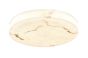 Φωτιστικό οροφής, LED 64W Alabaster & ritine, 7040 lm, 3CCT by switch on base D:80x6cm 42053-A