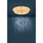 Φωτιστικό Πλαφόν Οροφής Ø50xH10,55cm 10x3,14 watt 3800lm Warm White Dimmable Χρυσαφί-Διάφανα Κρύσταλλα Eglo Principe 39406