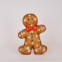 ΑΚΡΥΛΙΚΟΣ GINGERBREAD, ΜΕΤΑΣΧΗΜΑΤΙΣΤΗ, 40 ΛΕΥΚΑ LED, 28x8x37cm, ΠΡΟΕΚΤΑΣΗ ΠΑΡΟΧΗΣ 5m, IP44 Eurolamp 600-47214