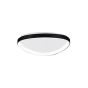 Πλαφονιέρα οροφής LED 25W 3CCT από μαύρο μέταλλο και ακρυλικό D:61,5x5cm 42043-Black