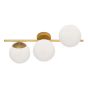 3/Φωτη Απλίκα Χρυσή Floris Viokef 4260301