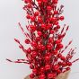 ΔΕΝΤΡΑΚΙ BERRY, 63cm Eurolamp 600-47627