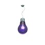 1888-35 LABA CRAKELE,PURPLE 1A3 HOMELIGHTING 77-1866