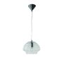 V29206L/1P24B/GY SOLO Φ24 CLEAR 1Z2 HOMELIGHTING 77-2093