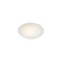 WH400-3 PINAR GLASS CEILING HOMELIGHTING 77-3648
