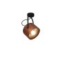 HL-3599-1M ARCHIE BLACK CEILING HOMELIGHTING 77-4231
