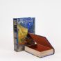 S/2 ΚΟΥΤΙΑ ΒΙΒΛΙΑ VAN GOGH ΞΥΛΙΝΟ ΜΠΛΕ 30x21x7cm / 24x16x5cm Eurolamp 819-00285