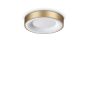 Φωτιστικό Οροφής PLANET PL D30 Ορείχαλκος Ideal Lux 370606