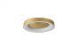 SE LED 60 AMAYA CEILING BRUSHED GOLD Δ3 HOMELIGHTING 77-8159