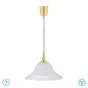Φωτιστικό Κρεμαστό Επεκτεινόμενο Μονόφωτο Ø38,5xH 70-130cm 1xΕ27 Brass Mat -Γυαλί Αλάβαστρος Lighting Viola 301700108