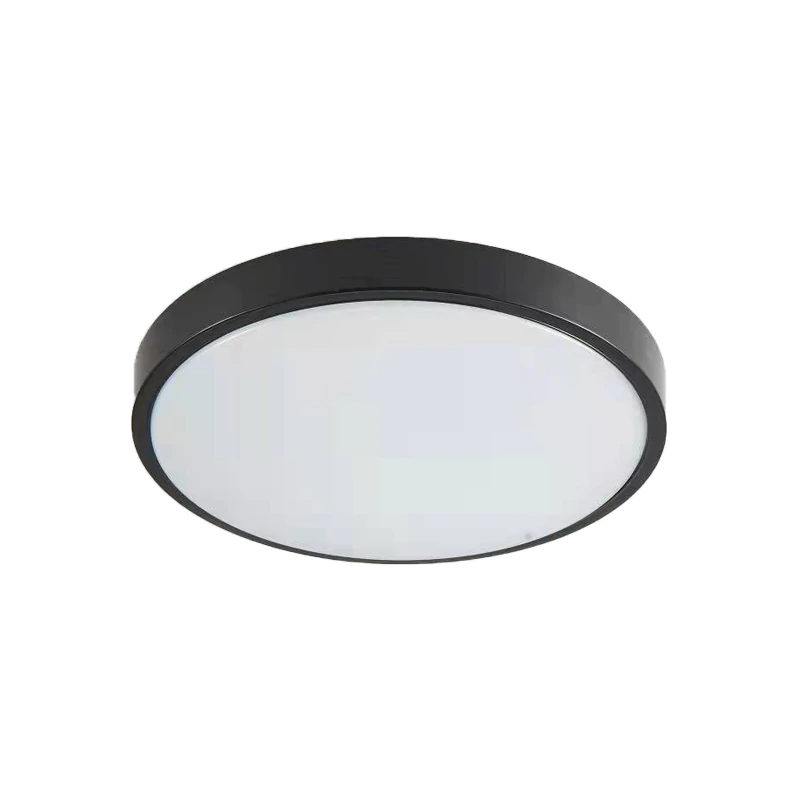 it-Lighting Torch LED 18W 3CCT Outdoor Ceiling Light Anthracite D:28cmx5,3cm 80300340